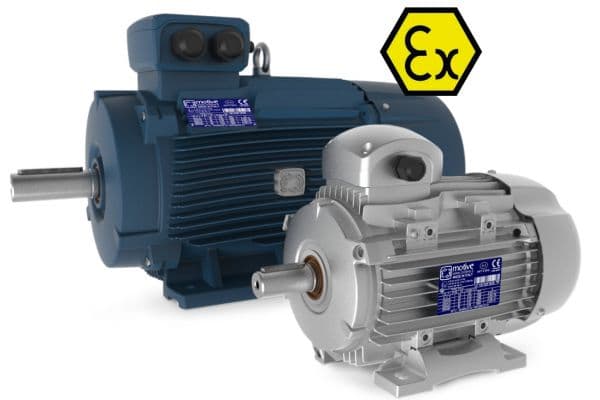 Delphi Atex Motors